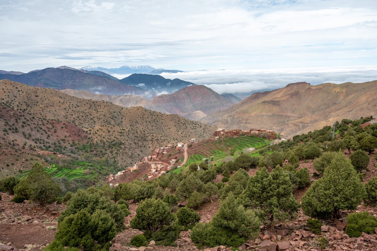 A high-angle panoramic view overlooking a winding mountain pass and a terraced village in Morocco's High Atlas Mountains. In the foreground, a steep slope of reddish-brown dirt and rocks is densely dotted with green juniper trees and shrubs. Below, a small mountain village of traditional earthen houses clusters along a dirt road adjacent to vibrant green, stepped agricultural terraces built into the hillside. In the distance, layers of arid mountain ridges roll toward a horizon where a thick blanket of low white clouds settles into the valleys, with a few faint, snow-capped peaks rising above the cloud line under an overcast sky.