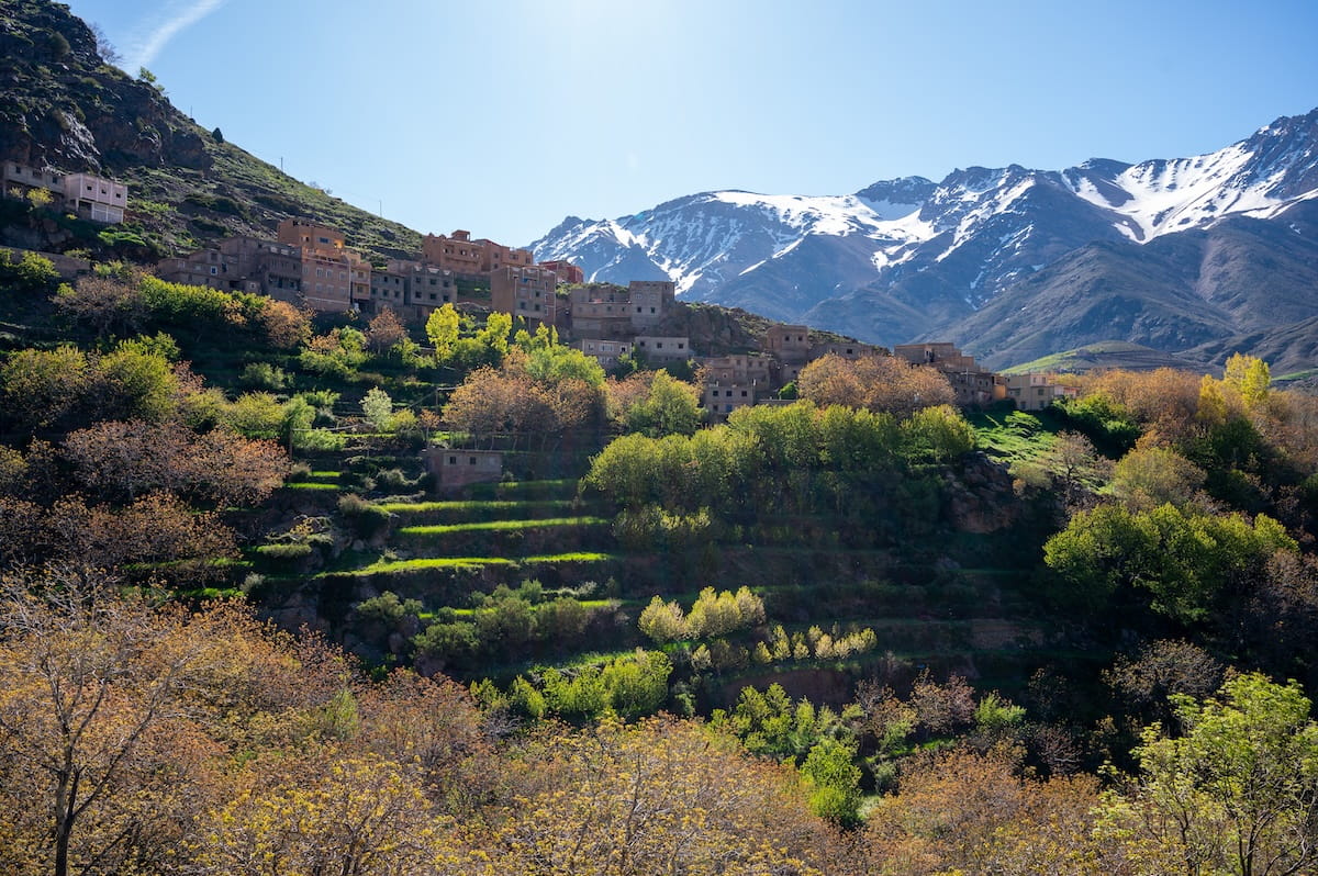 A stone village built into the side of a steep hill in the High Atlas Mountains. Green terraced agricultural fields and autumn-colored trees line the lower slopes, while massive snow-capped mountain peaks rise sharply in the background under a clear blue sky.