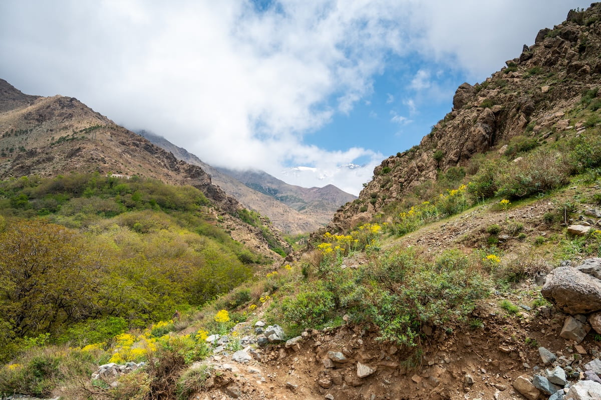 A mountain trail winding down a rugged valley in the High Atlas Mountains. The hillside on the left is covered in dense green trees and yellow wildflowers, while the slope on the right is rocky with sparse green brush. In the background, dramatic, misty peaks rise beneath a blue sky with scattered white clouds.