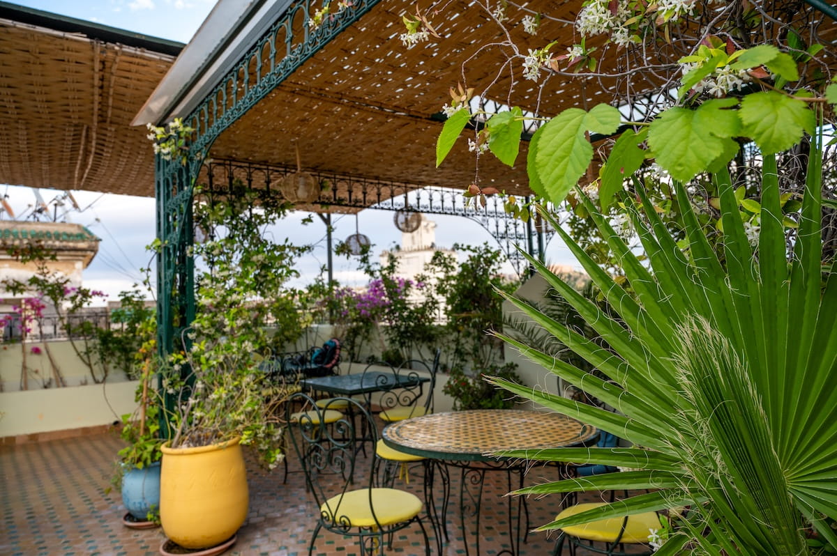 A lushly decorated rooftop terrace at Riad Dar Medina in Fes, Morocco. The terrace features an intricate dark green iron pavilion framework topped with a woven reed awning that provides shade over several patio dining sets. The wrought-iron tables and chairs are paired with bright yellow cushions, while the surrounding space is filled with potted green plants, flowering vines, a large yellow ceramic planter, and a vibrant green fan palm frond framing the right foreground. In the background, a white minaret tower rises above the neighboring rooftops under a light, overcast sky.