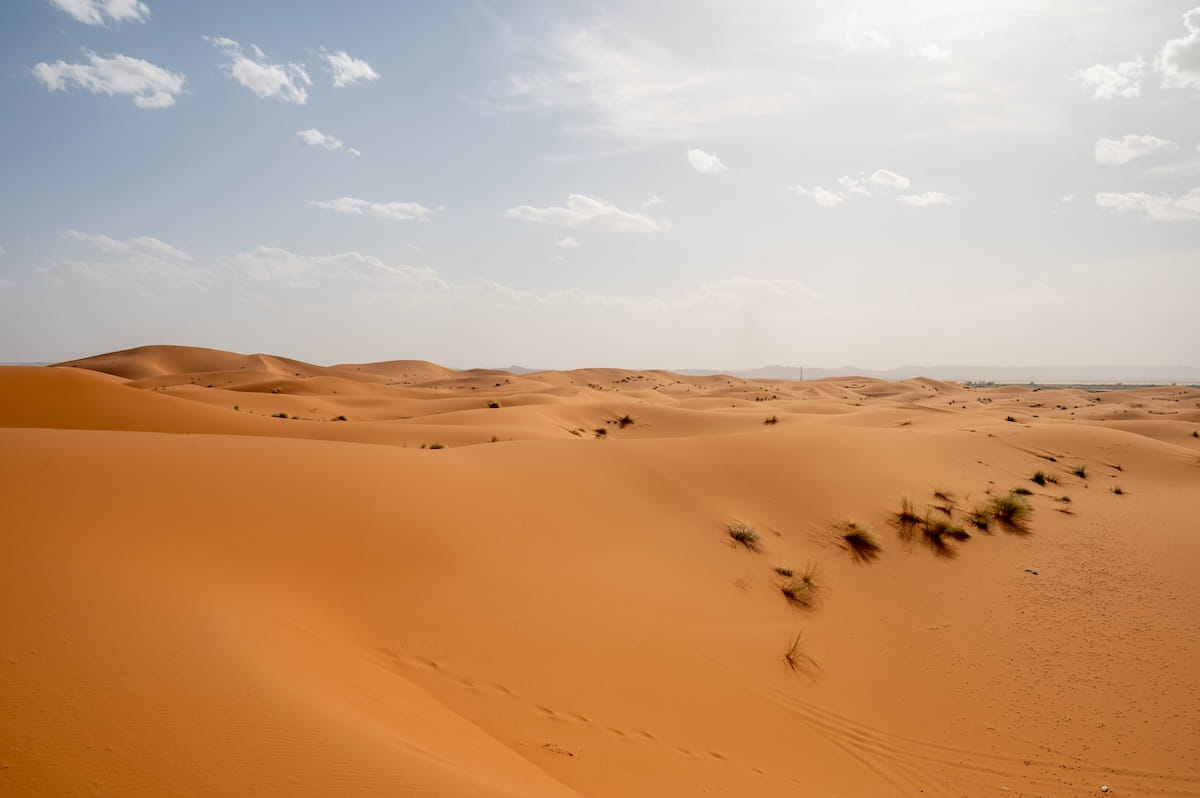 A wide-angle landscape view of rolling, bright orange sand dunes stretching across the Sahara Desert in Morocco. The foreground features a large, smooth dune sloping down to the right, with sparse clumps of small desert grasses dotted across the sandy ridges in the mid-ground. A hazy horizon sits under a pale blue sky filled with scattered, light white clouds.