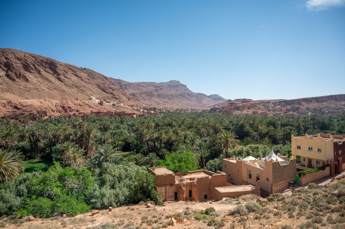 A high-angle landscape view looking across a vast, dense grove of green palm trees filling the floor of the Todra Valley in Morocco. In the foreground, a dry, sandy hillside features a partially ruined earthen mud-brick building alongside a modern, beige two-story hotel with small white rooftop turrets. The lush green palm oasis stretches across the entire mid-ground, contrasting sharply against the massive, barren, reddish-brown mountain ridges that rise under a clear, bright blue sky in the background.