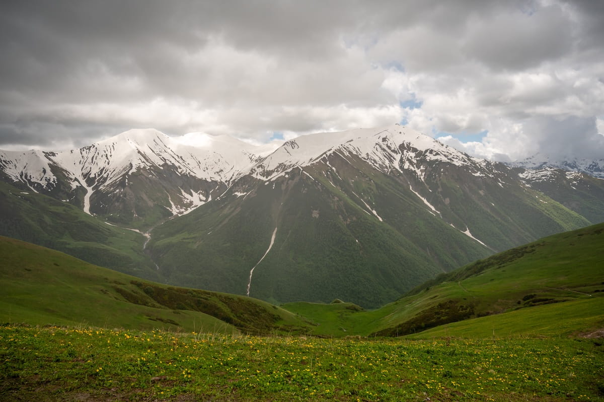 A vast mountain panorama from Chkhunderi Pass, featuring a foreground of green alpine meadows dotted with small yellow wildflowers, looking across a deep valley to massive, snow-capped mountain ridges under a dramatic, cloudy sky in Svaneti, Georgia.