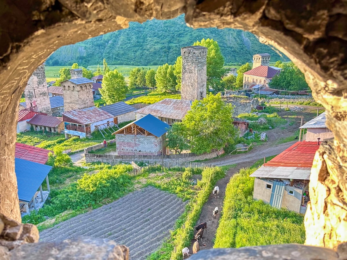 A view framed by a stone window arch inside a medieval tower, looking down at the village of Chvabiani with its historic stone defense towers, small houses, and a dirt path where a line of cows is walking.