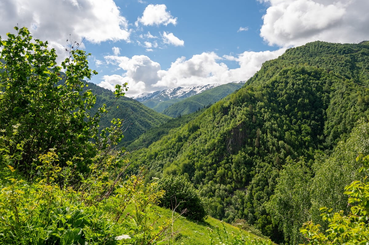 A lush mountain scenery along the trail from Iprali to Ushguli, featuring steep hills covered in dense green deciduous and pine forests, with snow-flecked mountain ridges peaking out in the background under a partly cloudy blue sky in Svaneti, Georgia.