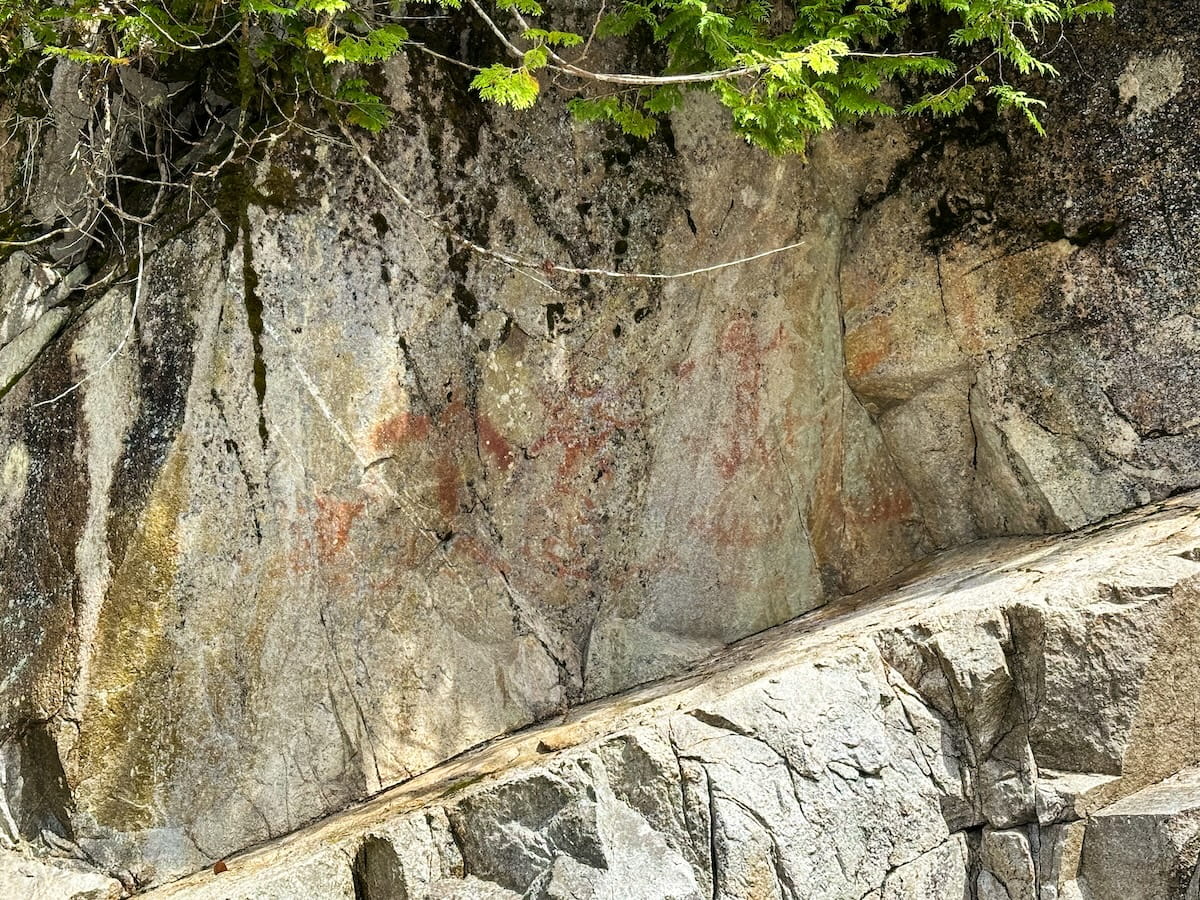 Ancient Native American pictographs painted in faded reddish-ochre pigment on a weathered grey rock cliff face in Orca Cove, with green tree branches hanging over the stone from above.