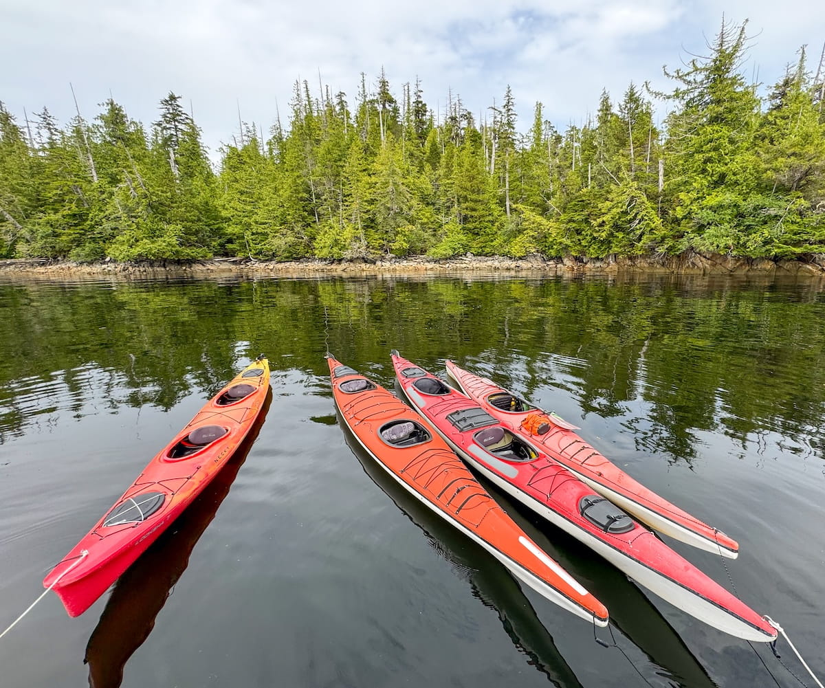 Four tandem sea kayaks in shades of red and orange float on calm, glassy water in Orca Cove, with their reflections visible on the dark surface and a dense green forest of pine trees lining the rocky shoreline under a cloudy sky.