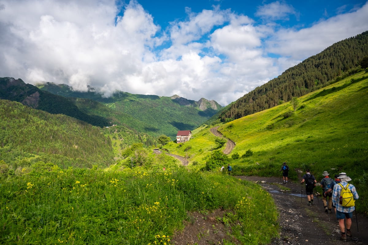 A small group of hikers with backpacks walking down a dirt trail on a guided trek in Svaneti, Georgia, surrounded by vibrant green alpine hillsides, yellow wildflowers, and forested mountain ridges under a partly cloudy sky.